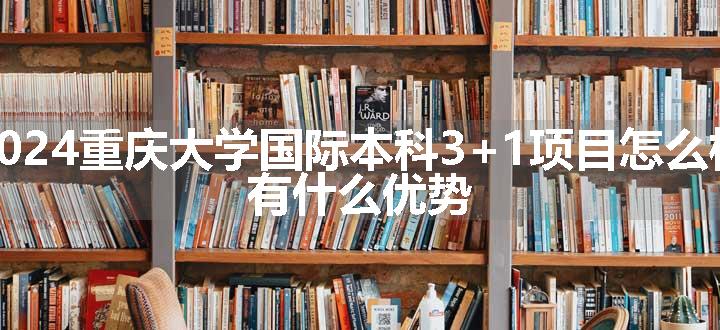 2024重庆大学国际本科3+1项目怎么样 有什么优势