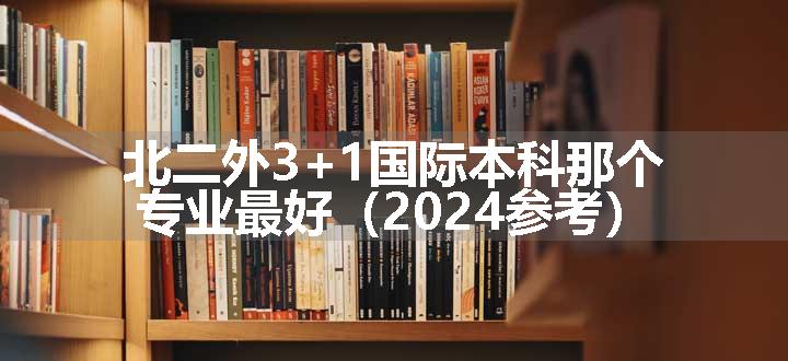 北二外3+1国际本科那个专业最好（2024参考）