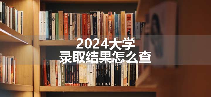 2024大学录取结果怎么查