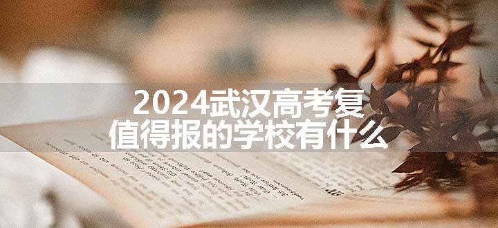 2024武汉高考复值得报的学校有什么