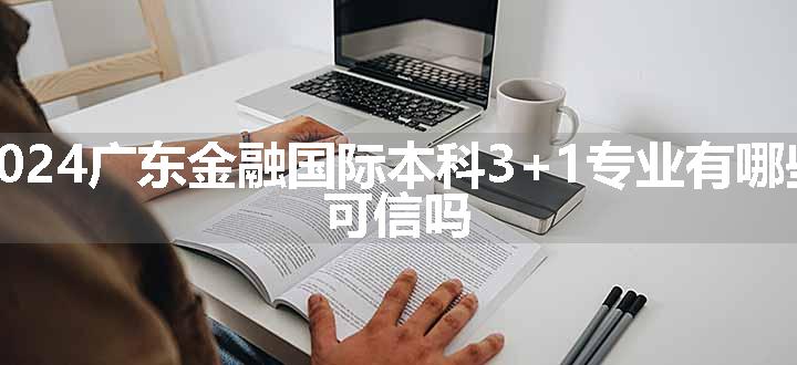 2024广东金融国际本科3+1专业有哪些 可信吗