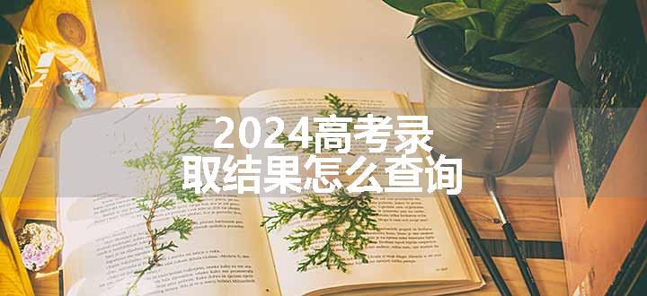 2024高考录取结果怎么查询