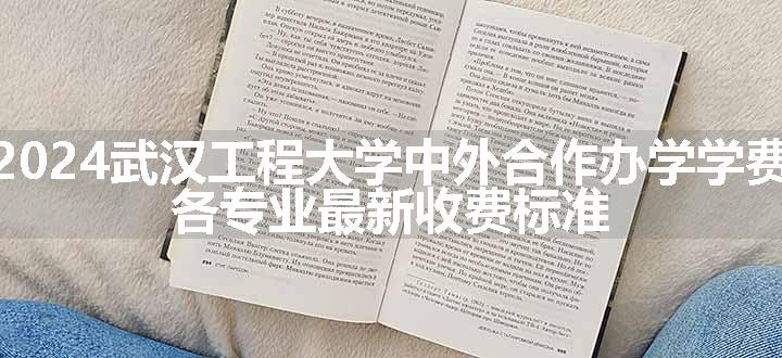 2024武汉工程大学中外合作办学学费 各专业最新收费标准