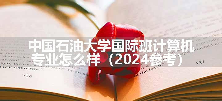 中国石油大学国际班计算机专业怎么样（2024参考）