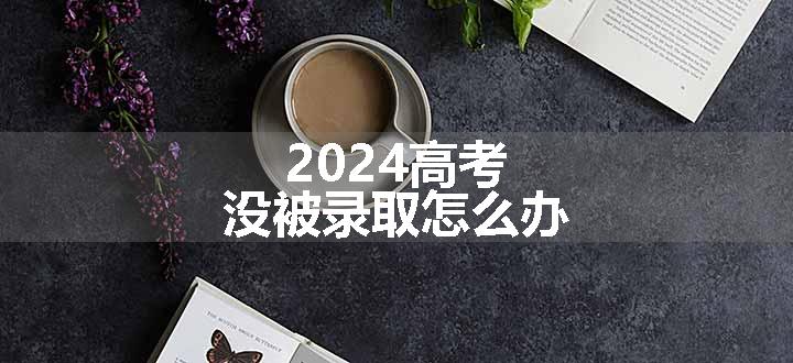 2024高考没被录取怎么办