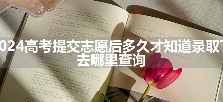 2024高考提交志愿后多久才知道录取了 去哪里查询