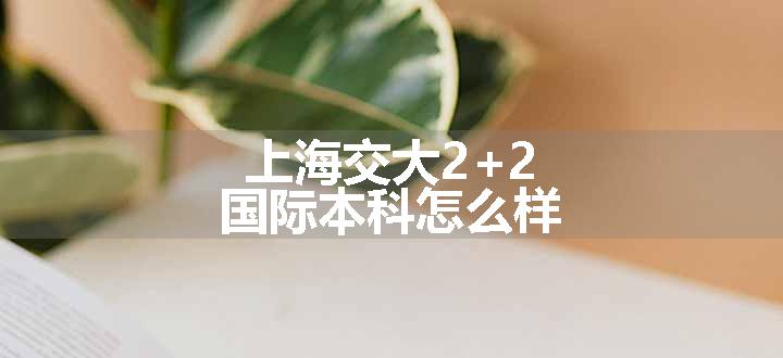 上海交大2+2国际本科怎么样