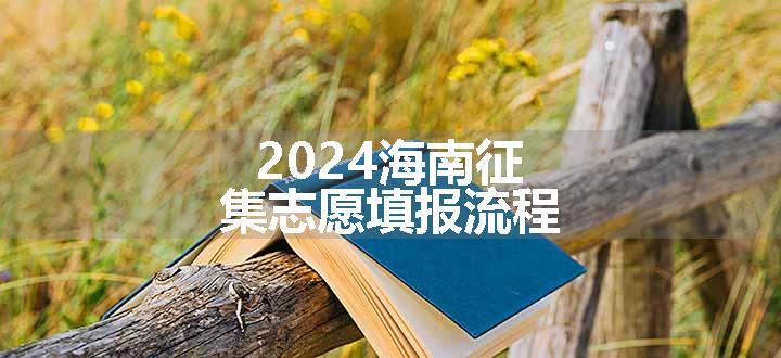 2024海南征集志愿填报流程