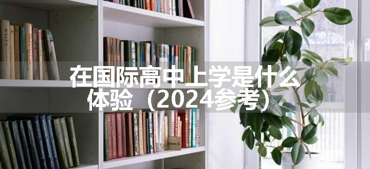 在国际高中上学是什么体验（2024参考）