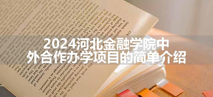 2024河北金融学院中外合作办学项目的简单介绍