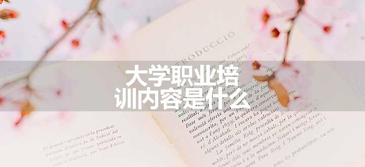 大学职业培训内容是什么