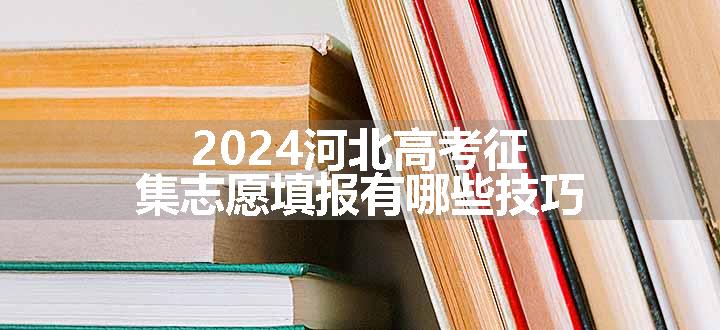 2024河北高考征集志愿填报有哪些技巧