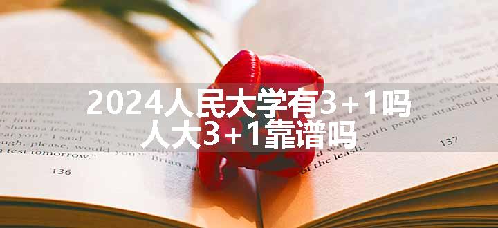 人民大学有3+1吗