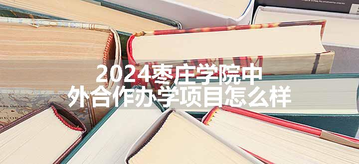 2024枣庄学院中外合作办学项目怎么样