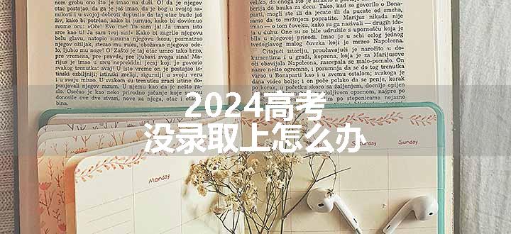 2024高考没录取上怎么办