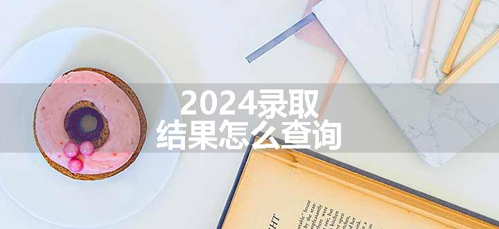 2024录取结果怎么查询