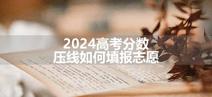 2024高考分数压线如何填报志愿