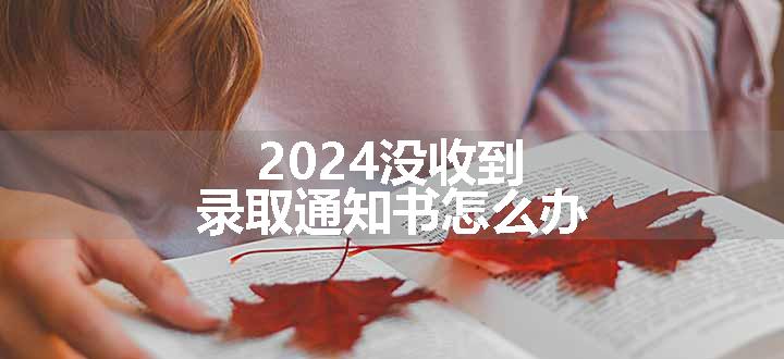 2024没收到录取通知书怎么办