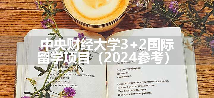 中央财经大学3+2国际留学项目（2024参考）