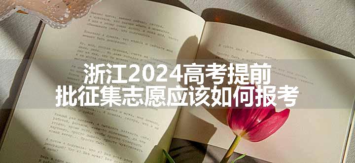 浙江2024高考提前批征集志愿应该如何报考