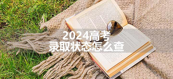 2024高考录取状态怎么查