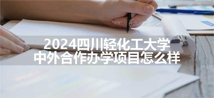 2024四川轻化工大学中外合作办学项目怎么样