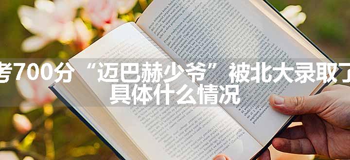 考700分“迈巴赫少爷”被北大录取了 具体什么情况