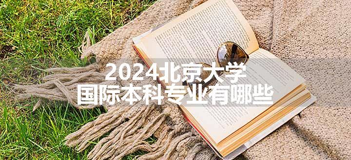 2024北京大学国际本科专业有哪些