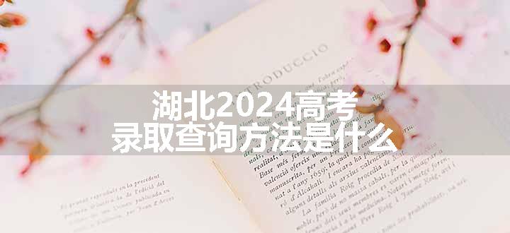 湖北2024高考录取查询方法是什么