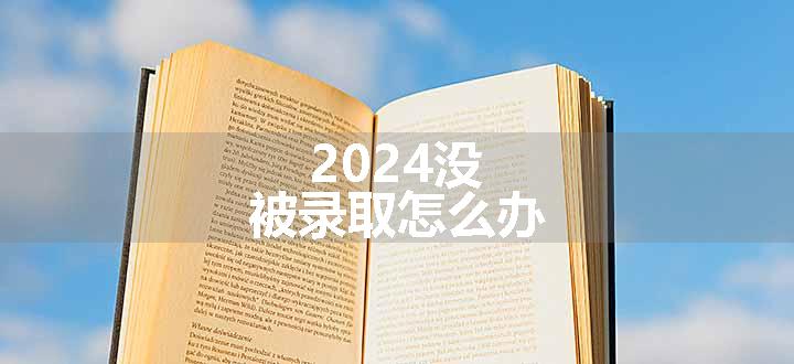 2024没被录取怎么办