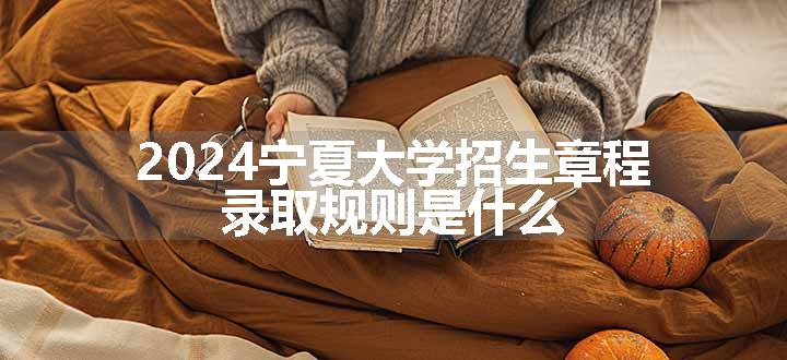 2024宁夏大学招生章程 录取规则是什么