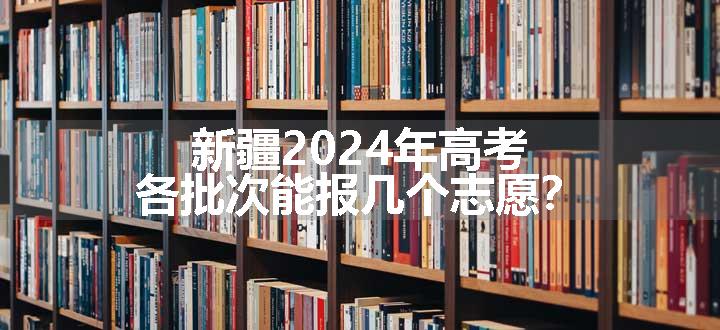 新疆2024年高考各批次能报几个志愿？