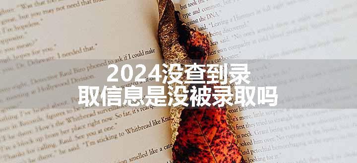 2024没查到录取信息是没被录取吗