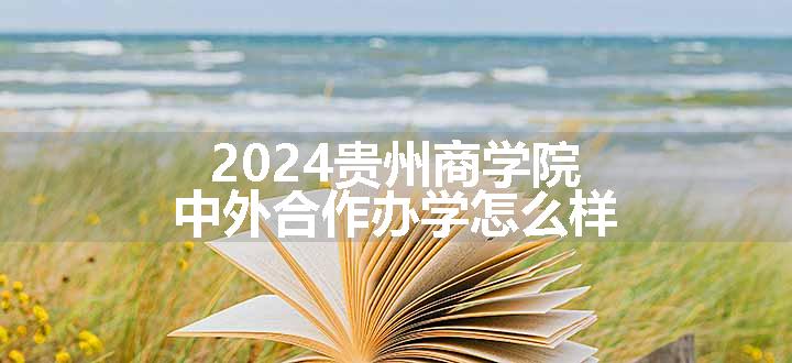 2024贵州商学院中外合作办学怎么样