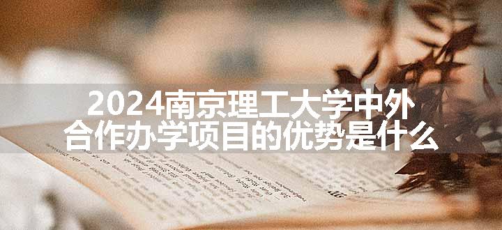 2024南京理工大学中外合作办学项目的优势是什么