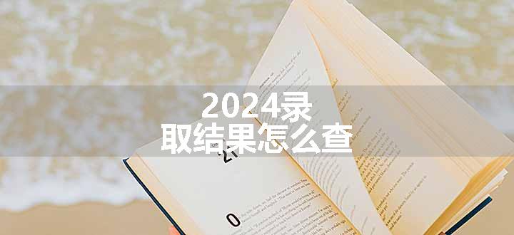 2024录取结果怎么查