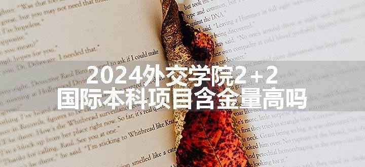 2024外交学院2+2国际本科项目含金量高吗