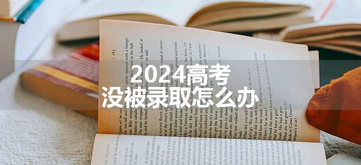 2024高考没被录取怎么办