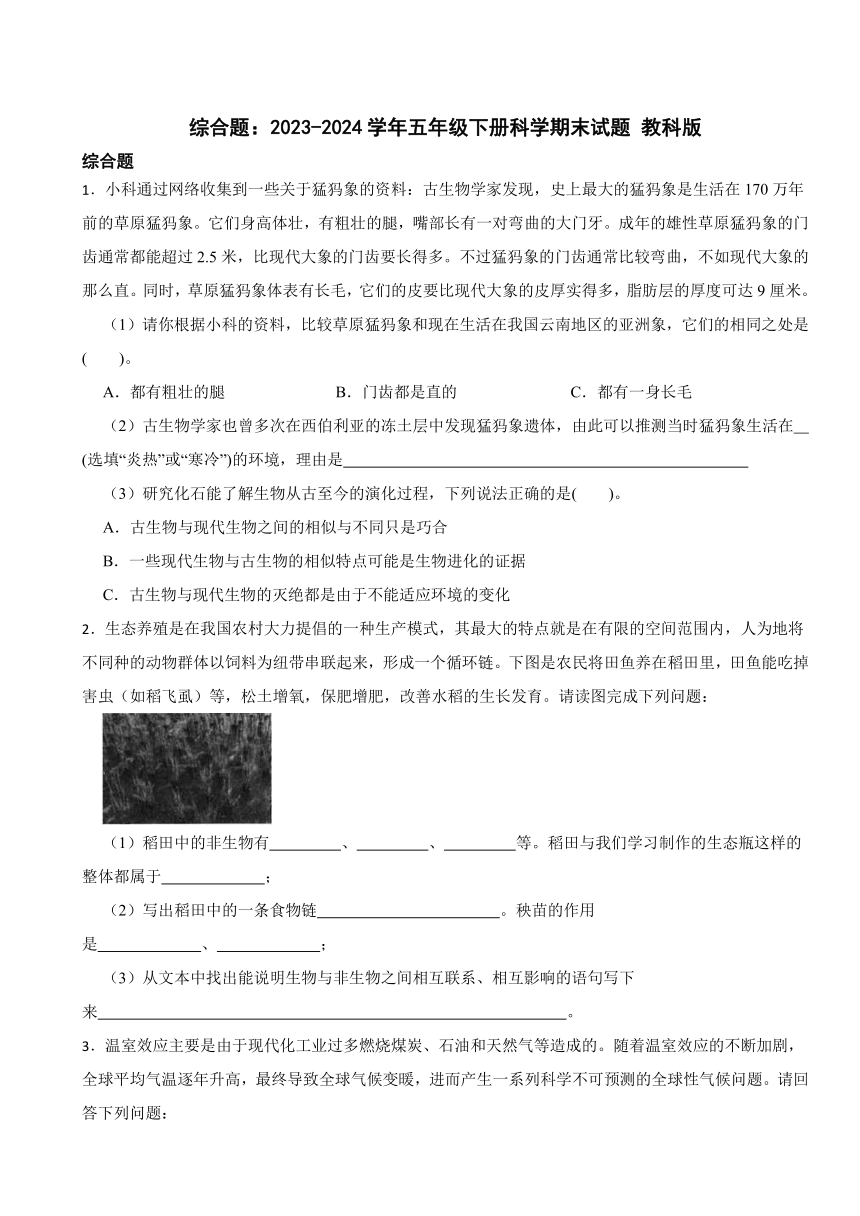 综合题：2023-2024学年五年级下册科学期末试题 教科版（文字版，有答案）