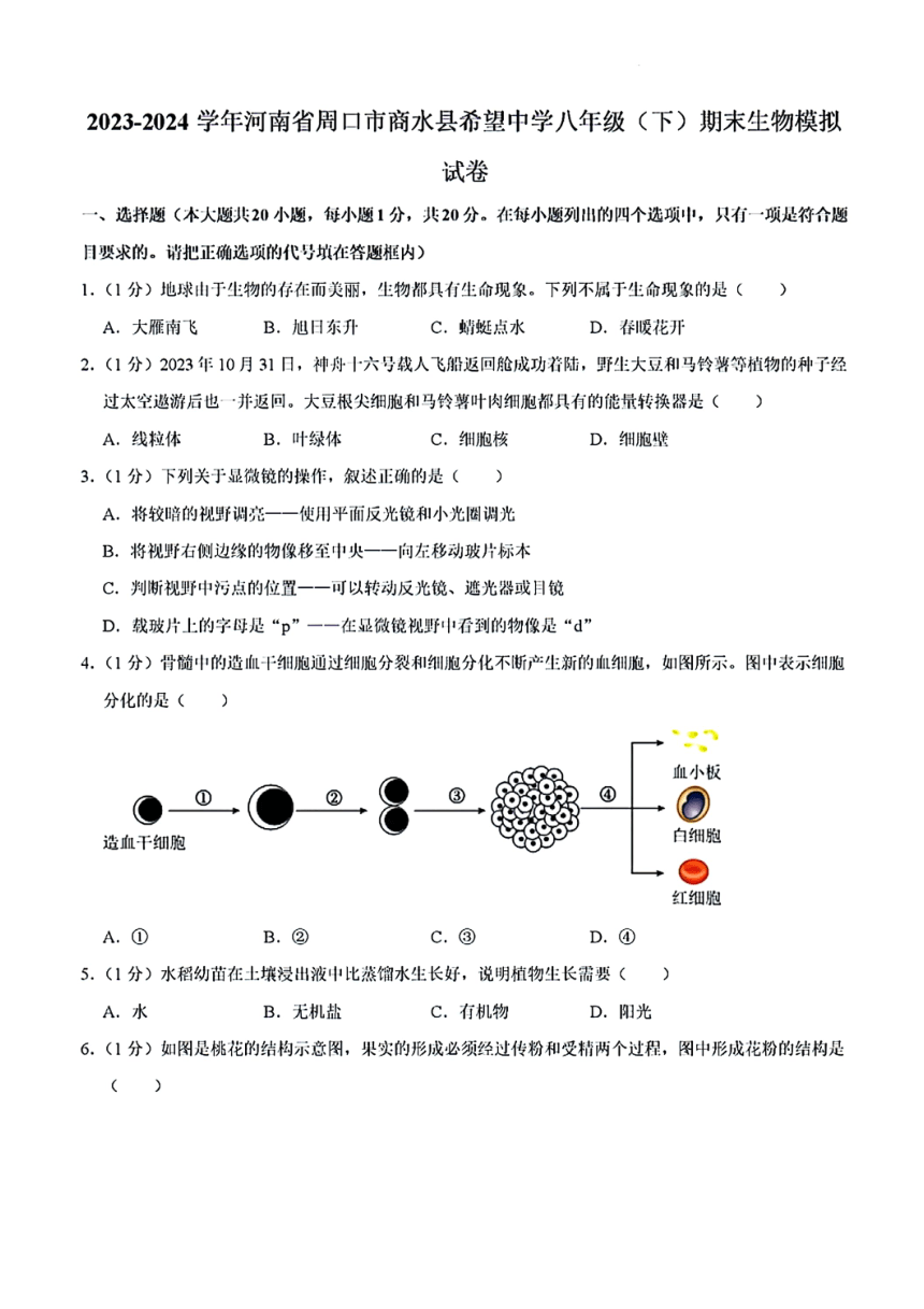 河南省周口市商水县希望初级中学2023-2024学年八年级下学期期末考试生物模拟试卷（PDF版含解析）