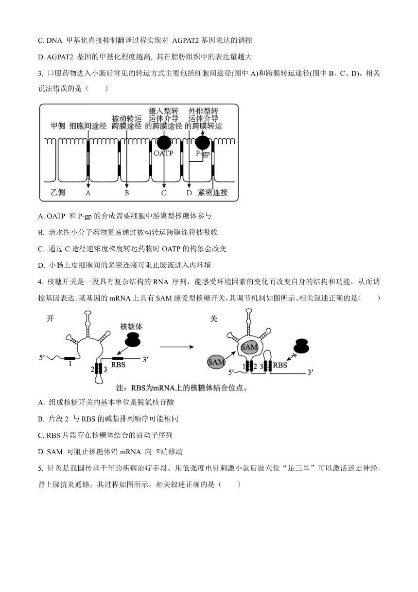 江苏省苏州市2023-2024学年高二下学期6月期末考试 生物试题（含解析）