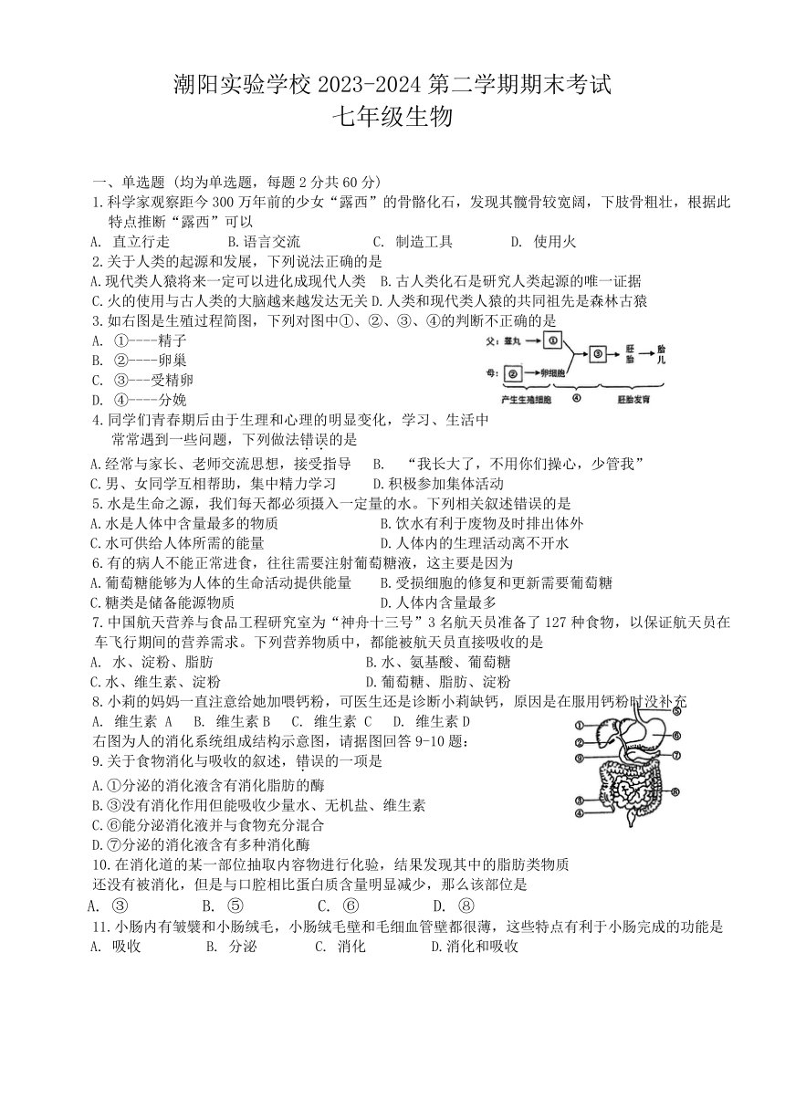 广东省汕头市潮阳实验学校2023-2024学年七年级下学期7月期末生物试题（含答案）