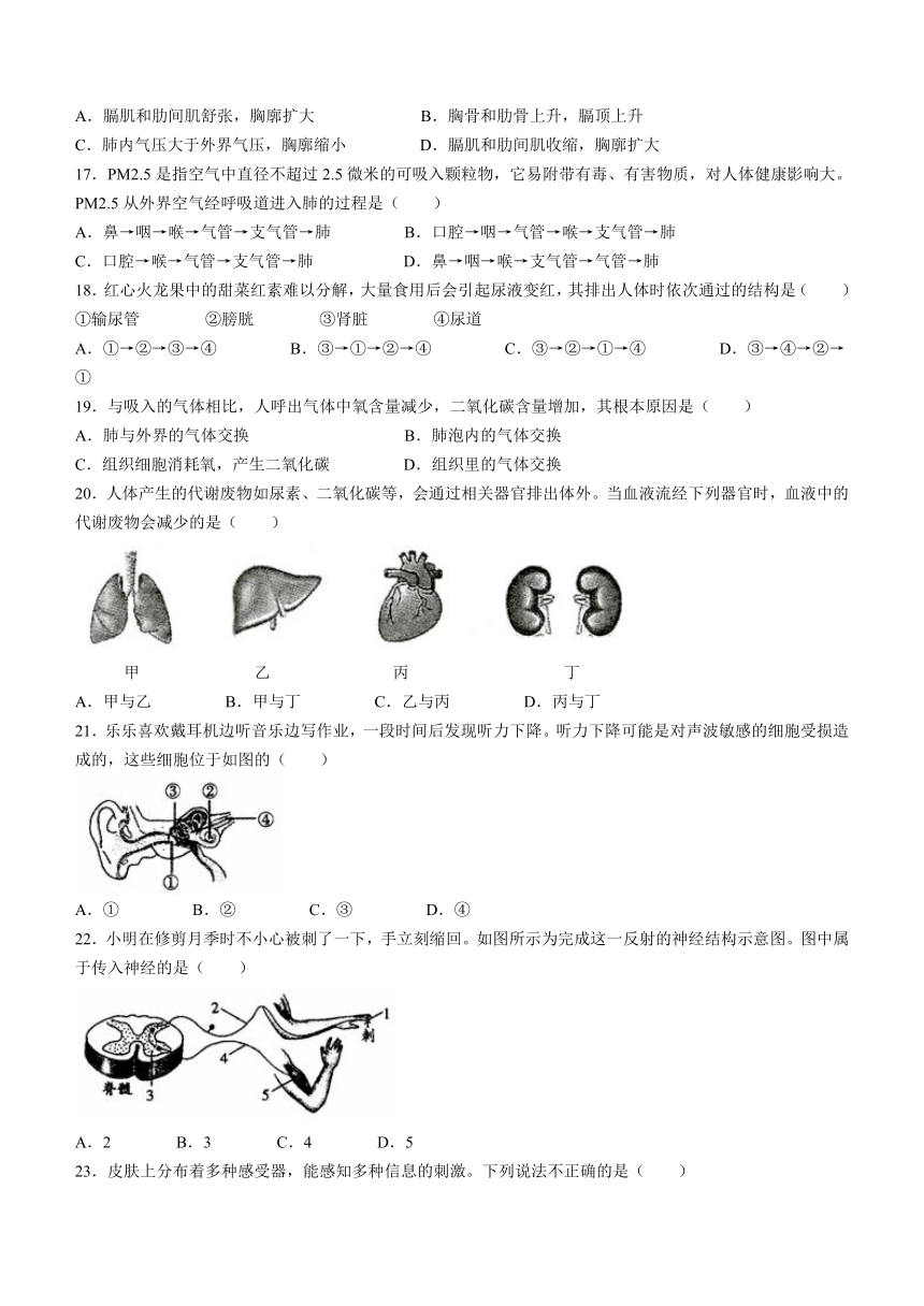 安徽省滁州市天长市2023-2024学年七年级下学期6月期末考试生物试题（含答案）