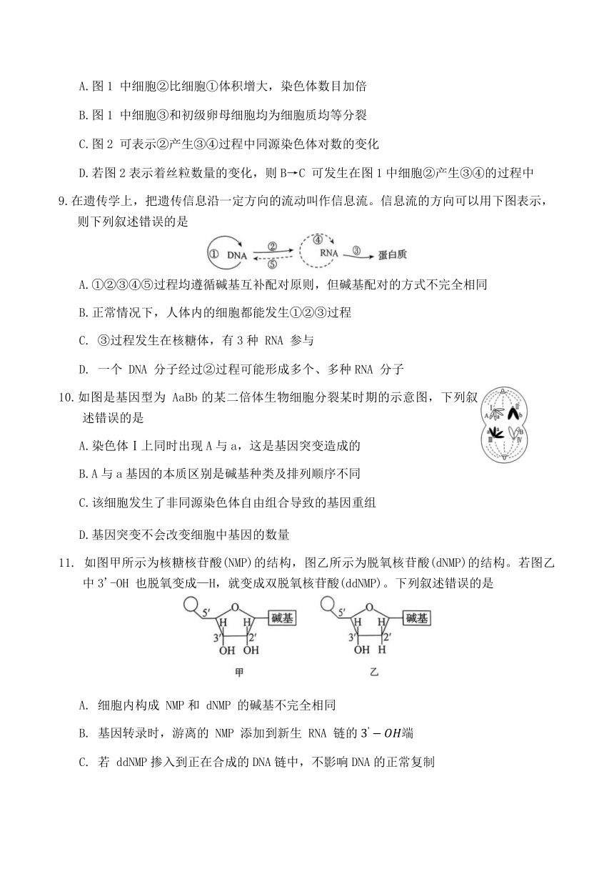 吉林省白山市2023-2024学年高一下学期7月期末考试生物试题（含解析）