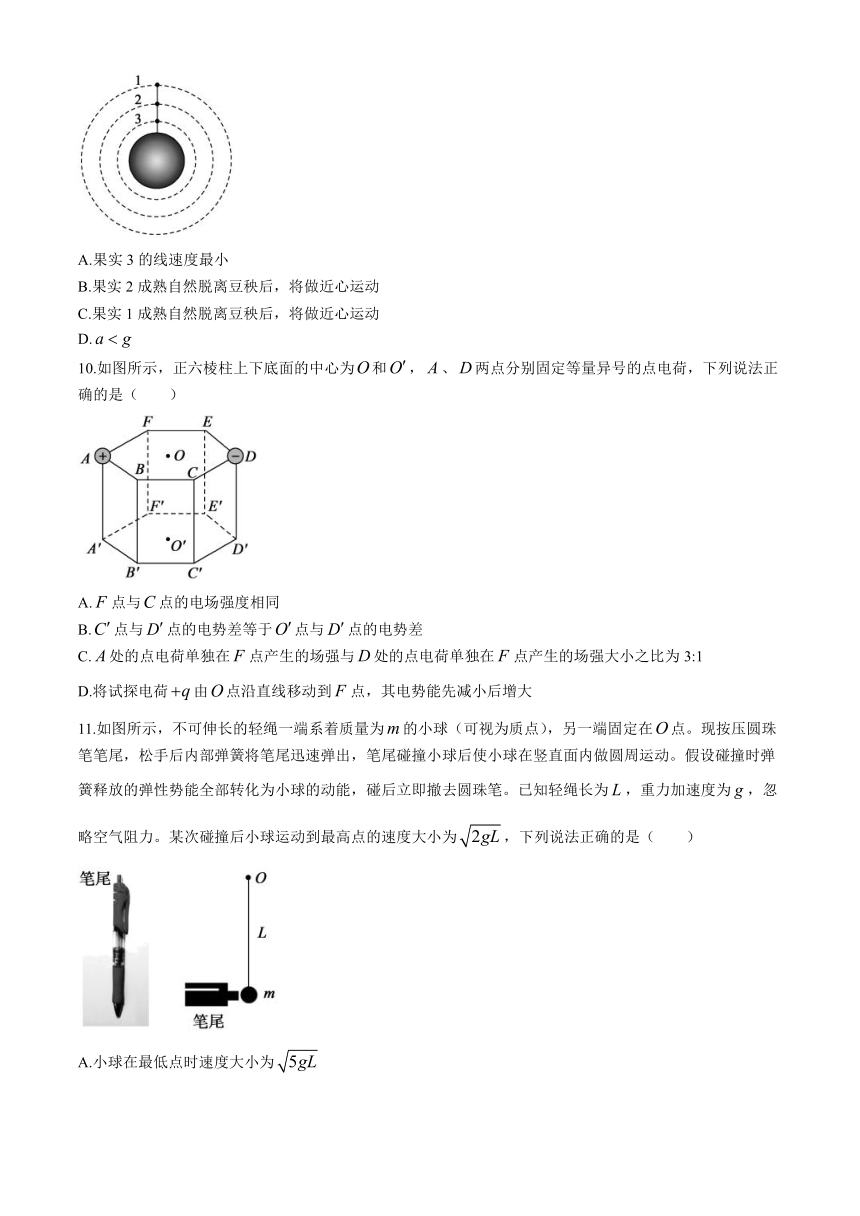 山东省德州市2023-2024学年高一下学期7月期末考试物理试题（含答案）