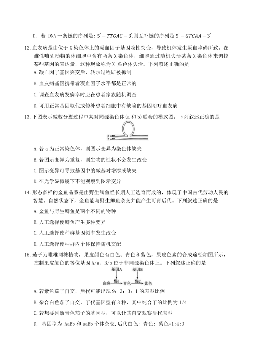 吉林省白山市2023-2024学年高一下学期7月期末考试生物试题（含解析）