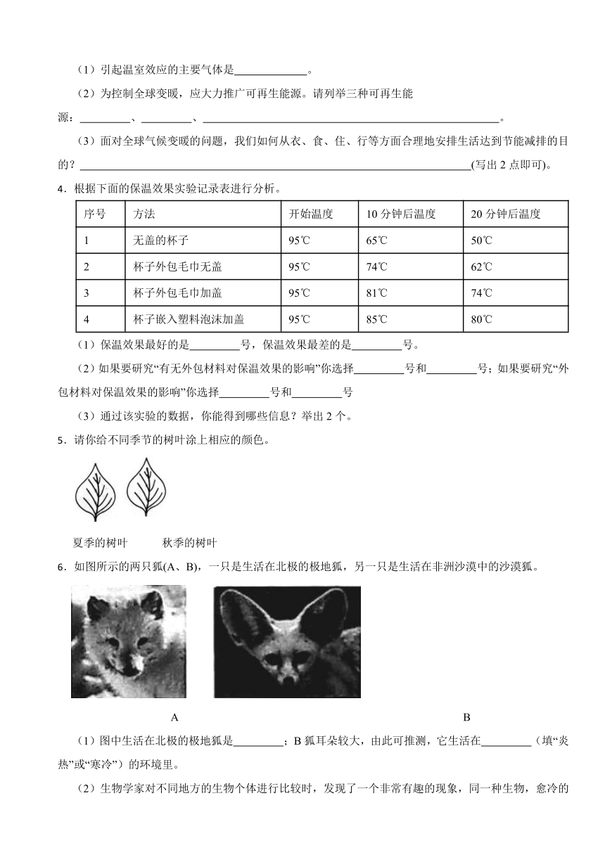 综合题：2023-2024学年五年级下册科学期末试题 教科版（文字版，有答案）