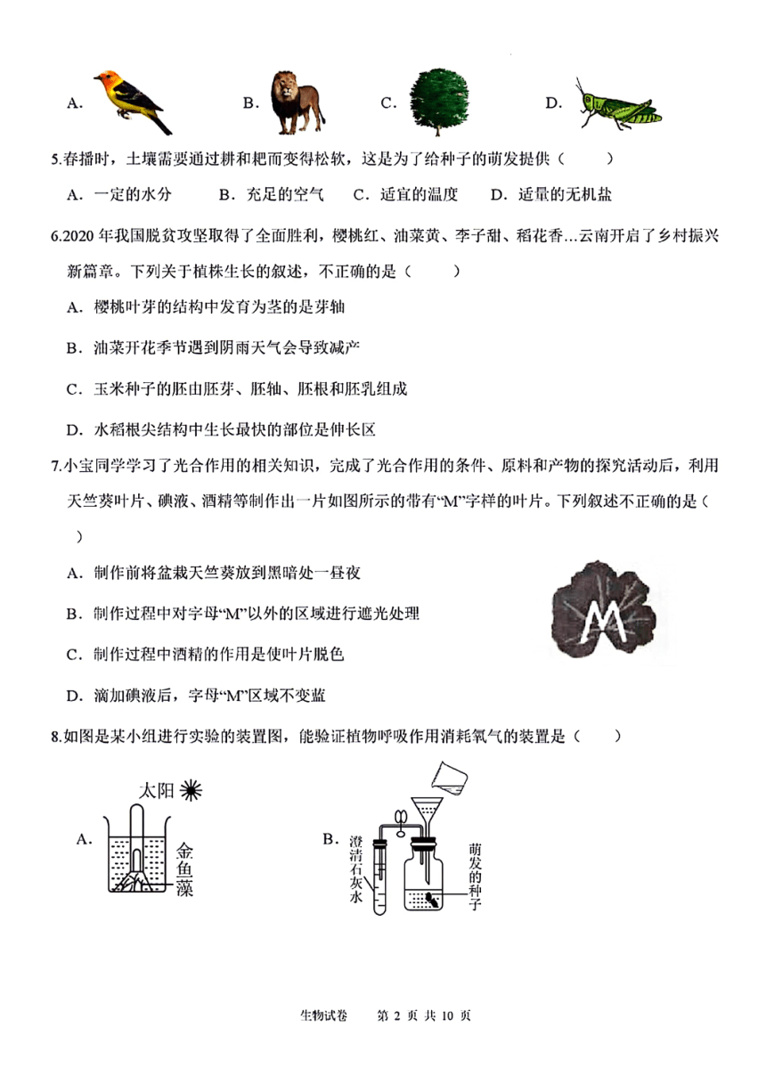 云南省保山市智源初级中学2023-2024学年七年级下学期7月月考生物试题（PDF版含答案）