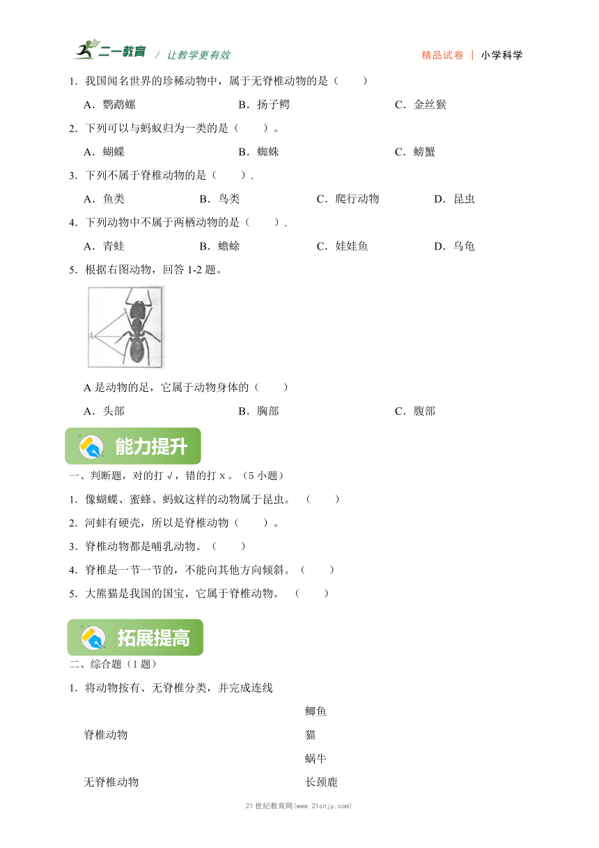 【核心素养】人教鄂教版（2024）四年级上册科学第一单元第2课《动物的分类》分层练习（含答案）