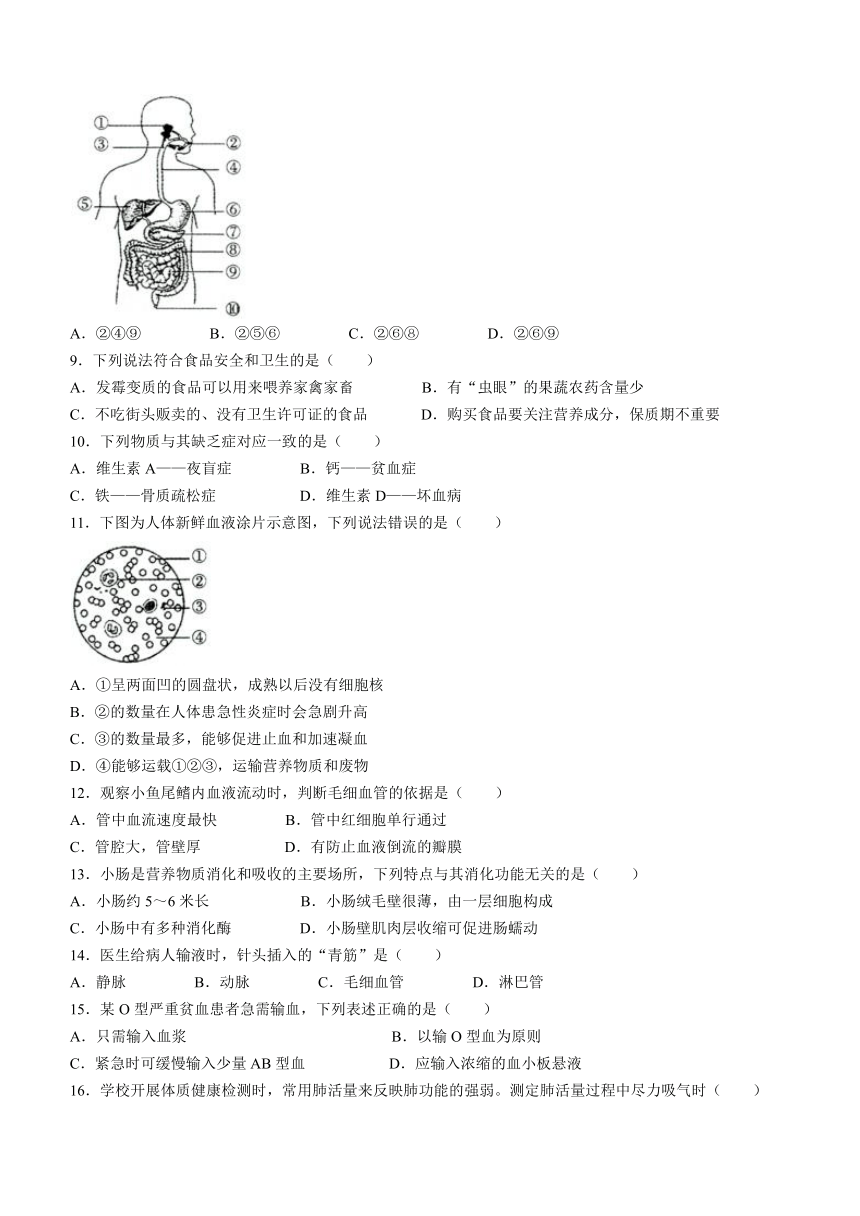 安徽省滁州市天长市2023-2024学年七年级下学期6月期末考试生物试题（含答案）